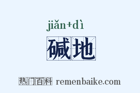 碱地是什么意思的图片